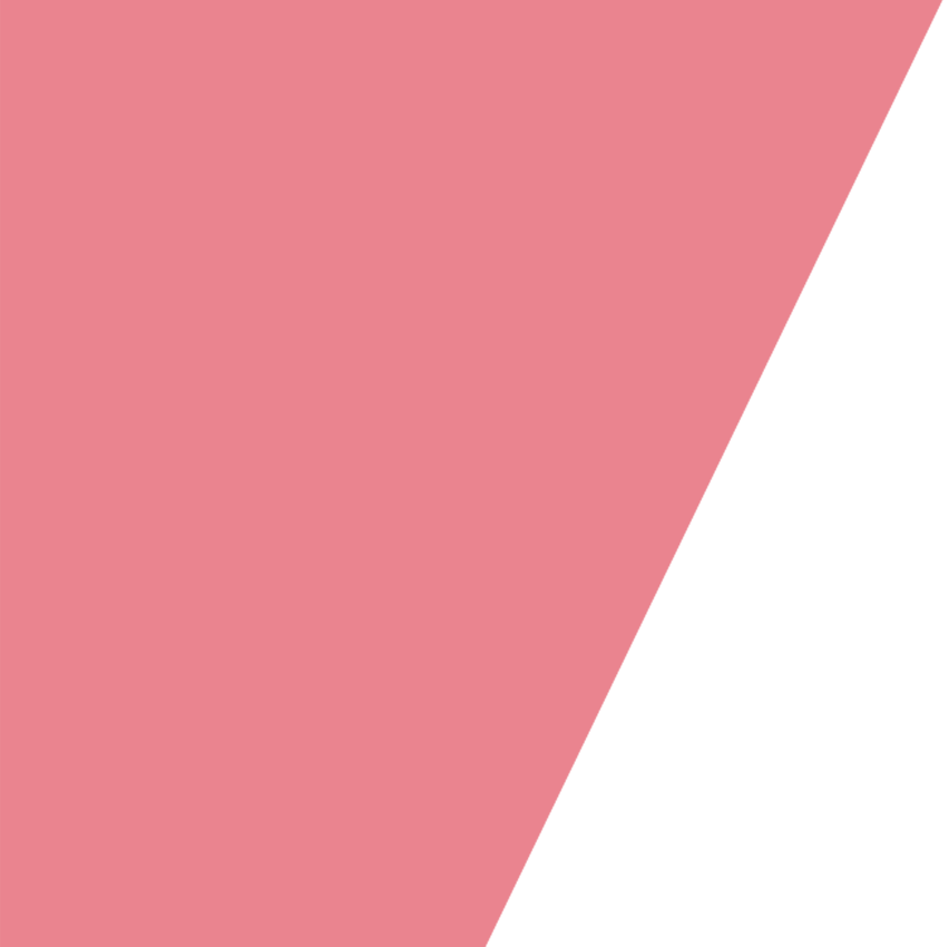 Pink Triangle1